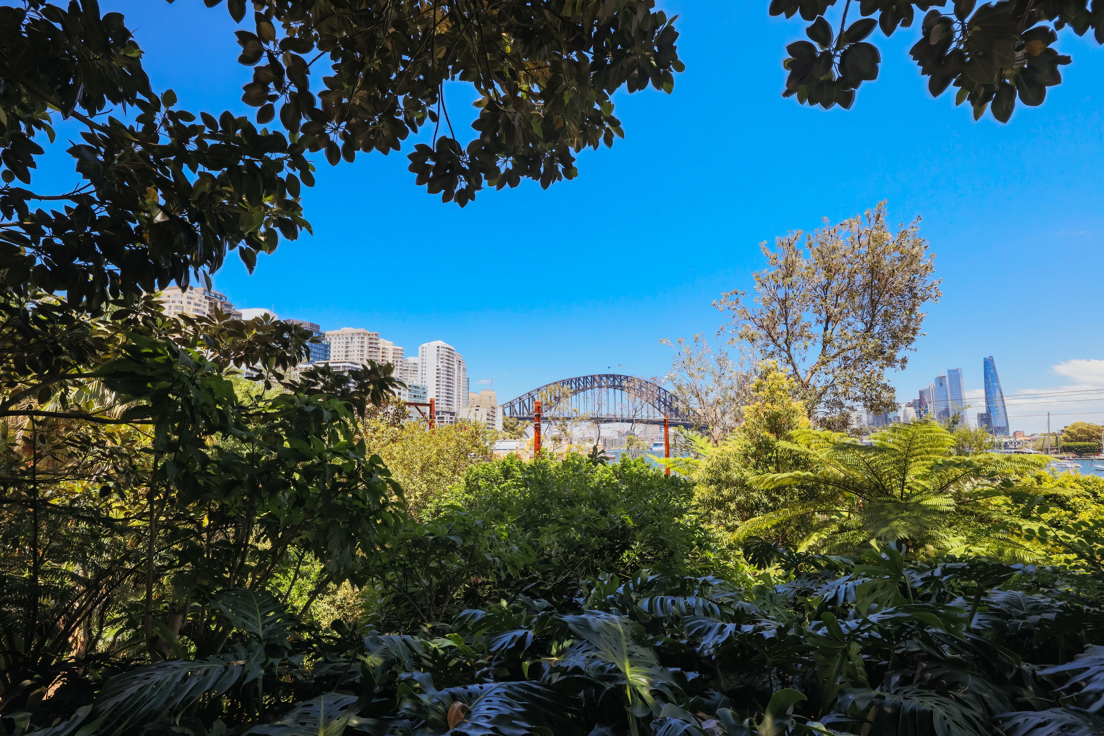 Wendy Whiteley's Secret Garden.jpeg